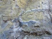 Dark-colored U 4+ minerals, including uraninite and coffinite,form roll fr...