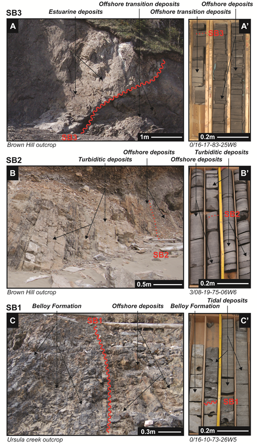 Facies, well-log patterns, geometries and sequence stratigraphy of a ...