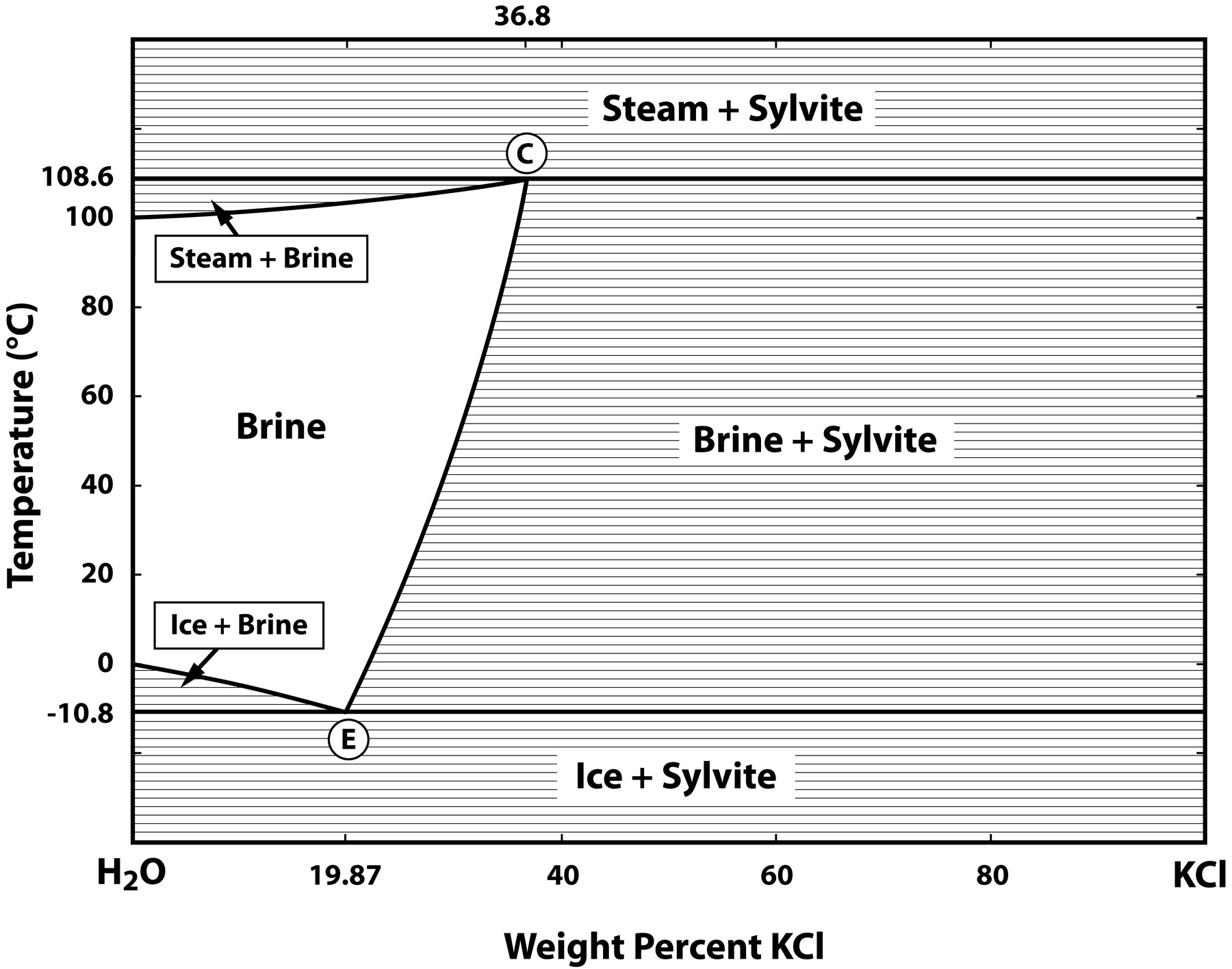 exercise essay writing regularly is important