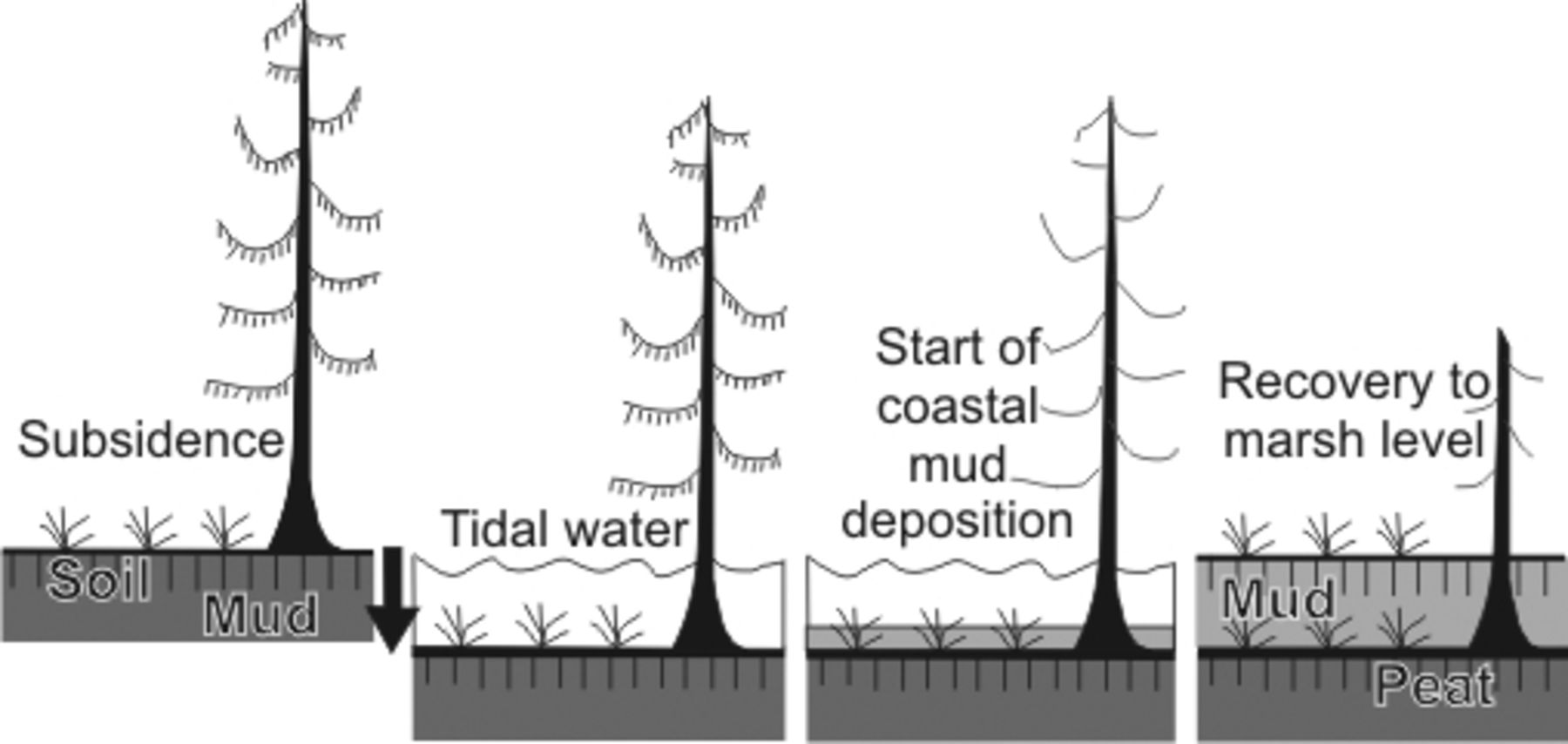 Great earthquakes on Canada s west coast a review This article is View largeDownload slide