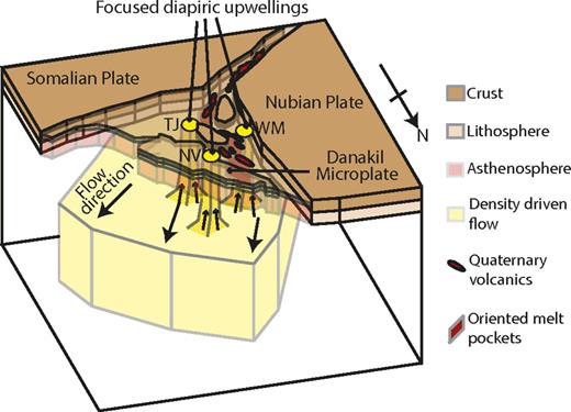 Mantle upwelling and initiation of rift segmentation beneath the Afar ...