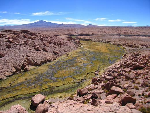 Photograph from the southwest of Uturuncu showing tributaries of the Río Grande de Lípez (taken October 2011). The narrow floodplains of these bedrock rivers now consist of small anastomosing channels and wetlands.