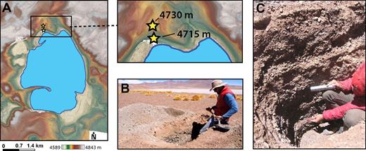 Locations and images of our geochronology sample sites on the northern shore of Laguna Loromayu (Fig. 3). (A) Shaded elevation map of Loromayu from our high-resolution digital elevation model (DEM); the yellow stars show the locations of our optically stimulated luminescence (OSL) pit locations on each of the two prominent beach terraces that can be seen in the inset map. (B) Field photograph of our lower sample location (Lor-1a and Lor-1b) during the pit excavation. (C) Photograph of the stratigraphy within the pit, which consists of alternating layers of sub-planar bedded sand and gravel. Photographs taken October 2011.