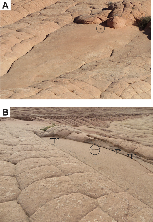 Tectonics Material Pattern Sheeting joints and polygonal patterns in the Navajo Sandstone ...