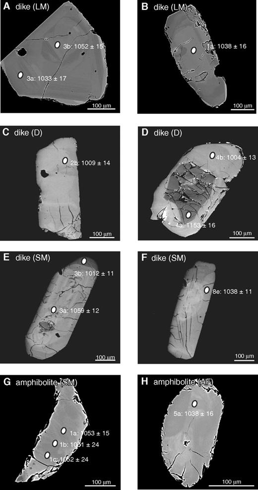 Representative backscattered electron images of zircon grains. (A, B) Crosscutting plagioclase-rich dike at Lyon Mountain (LM). (C, D) Granitic pegmatite dike at Dannemora (D). (E, F) Granitic pegmatite dike at Skiff Mountain (SM). (G) Amphibolite layer at Skiff Mountain (SM). (H) Amphibolite layer that separates the fayalite granite from albite granite at Ausable Forks (AF). Single spot ages are given as 207Pb/206Pb ages (Ma) corrected for common Pb. White ellipses are the approximate size ion probe craters. Labels 1a, 1b, 1c, 2b, 3a, 3b, 4a, 4b, 5a, and8e refer to specific analyses in Table 7.