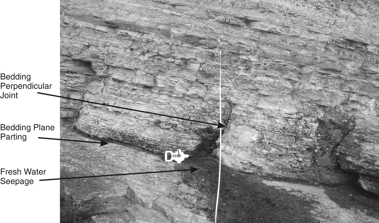 Quantifying Heterogeneity In Variably Fractured Sedimentary Rock View Large Slide