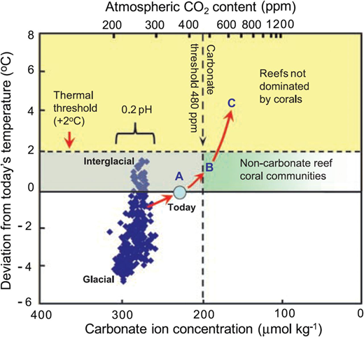 a biostratigraphical signature for