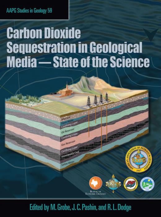 Science Sequester An Overview of CO 2-ECBM and Sequestration in Coal Seams | Carbon ...